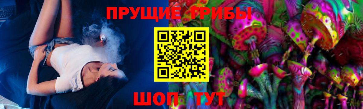 Галлюциногенные грибы Psilocybe Новошахтинск
