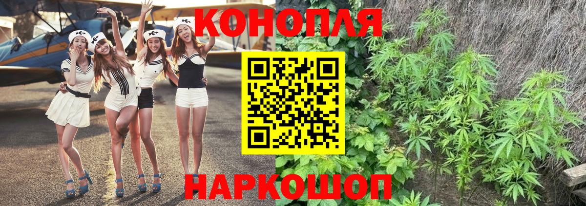Марихуана сатива Новошахтинск
